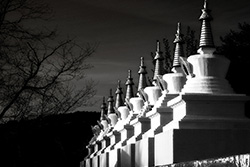Stupas at Dag ghang kagyu