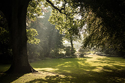 Park in York